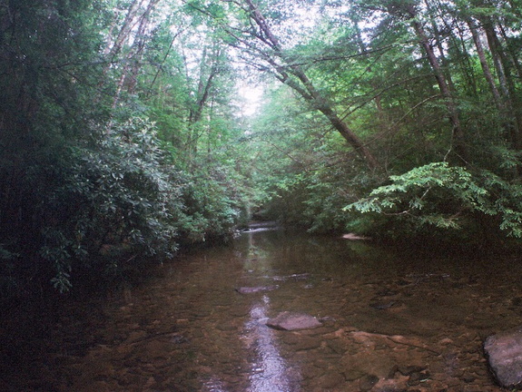 Laurel Fork Creek, Big South Fork country